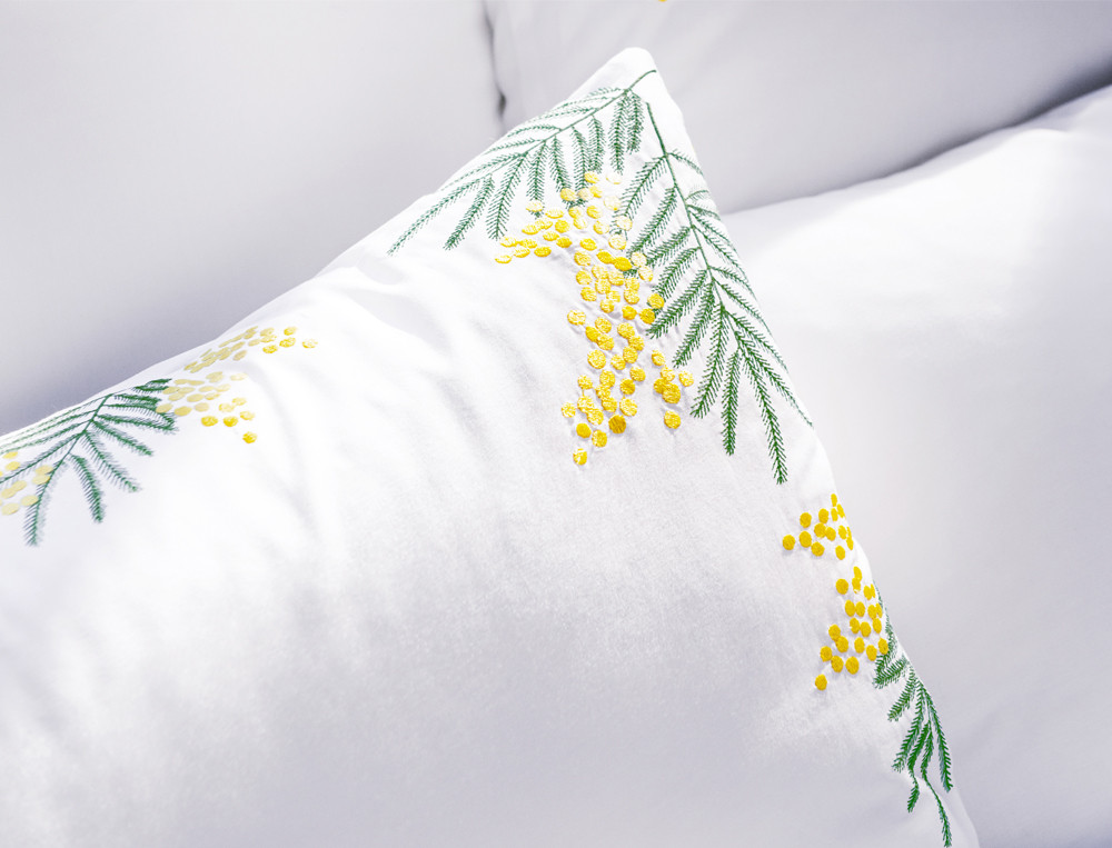 Mimosa