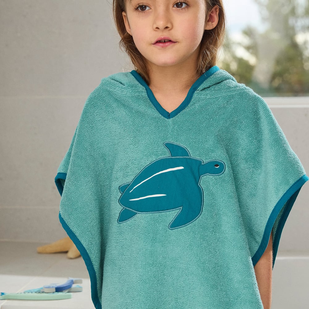 Bandes de poissons