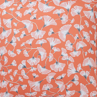 Gingko