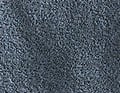 Traumwächter Blau