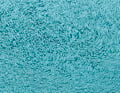 Blaubeere Seegrün