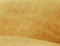En couleurs Ocre