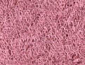 Matinale Framboise glacée