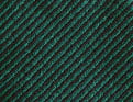 Byzance Vert cèdre