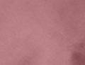Nuage Figue