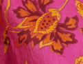 Sommerstrahlen Fuchsia