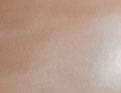 Tout en Soie Taupe