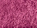 Parenthèse Bougainvilliers