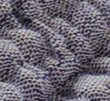 Les Papyrus Bleu Gris
