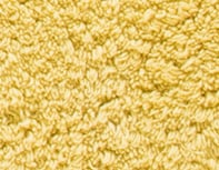 Recto verso Blé