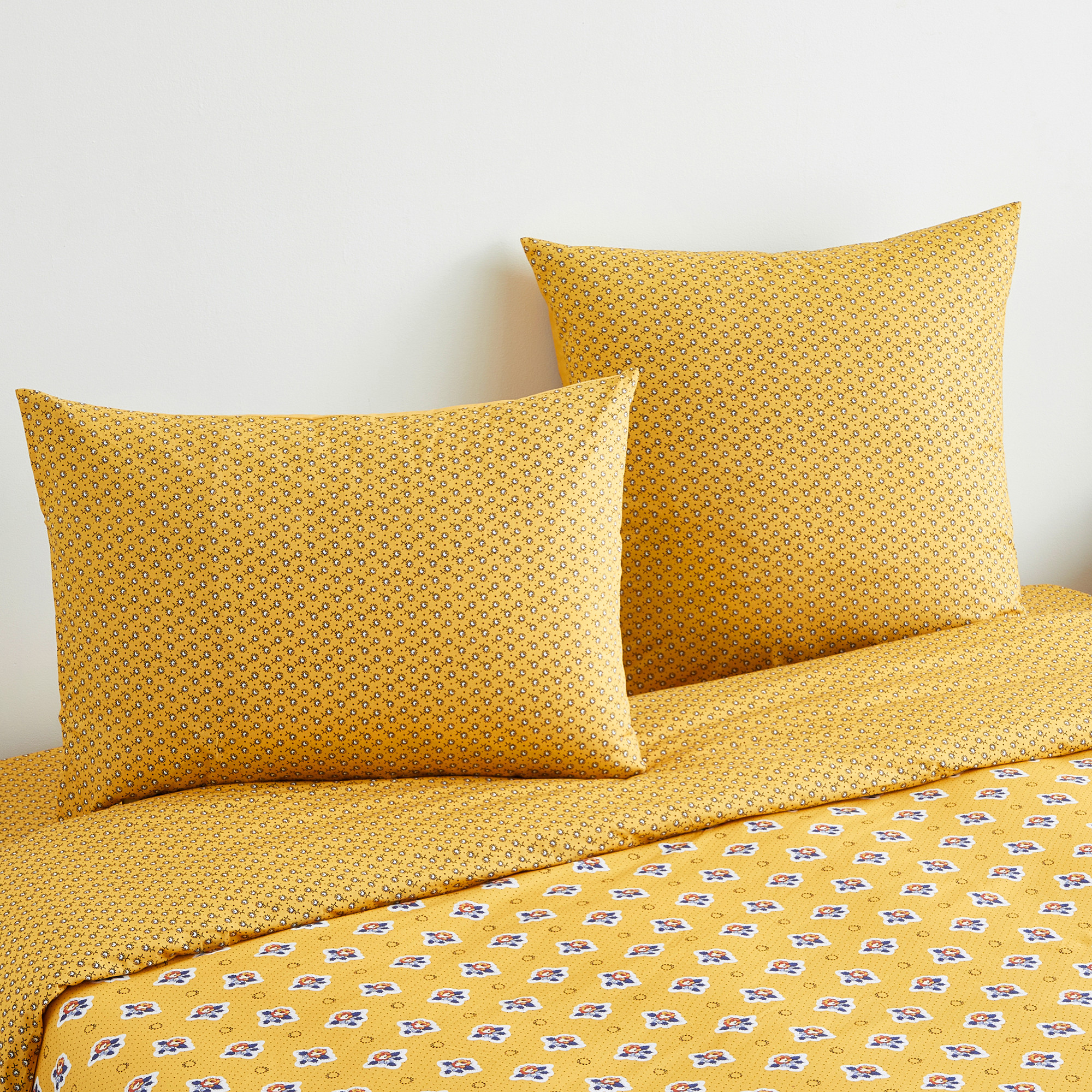 Pompadour jaune