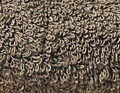 Matinale taupe