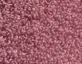 Matinale framboise glacee