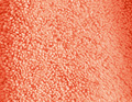 Parenthèse corail